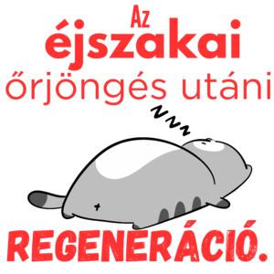 Éjszakai őrjöngés